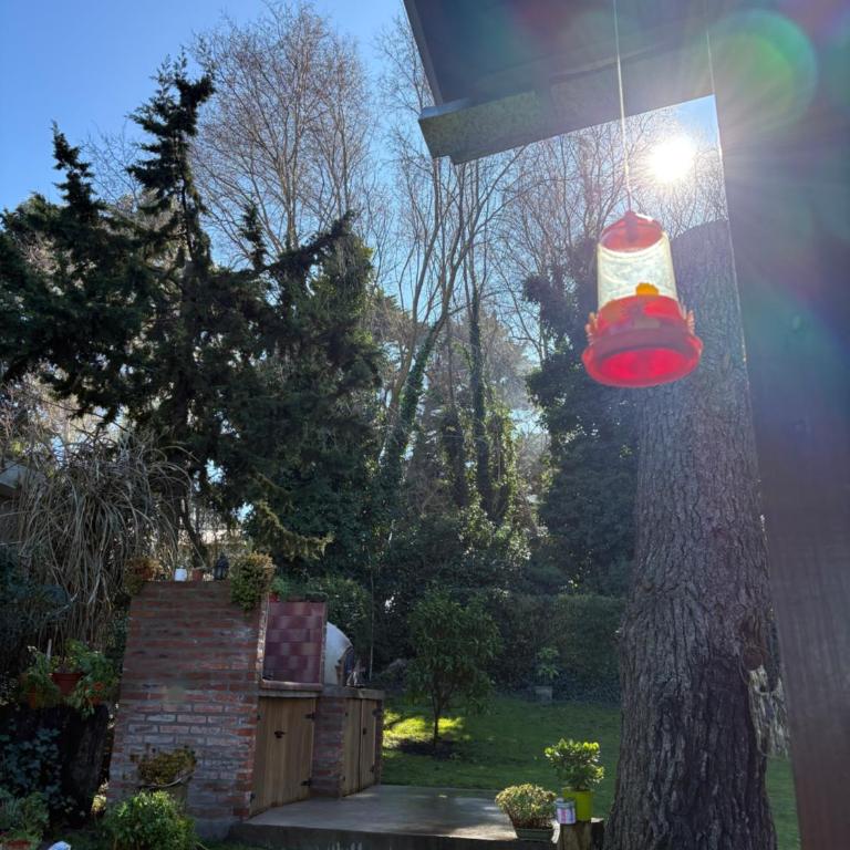 Las Golondrinas - Casa de 3 dormitorios - 37