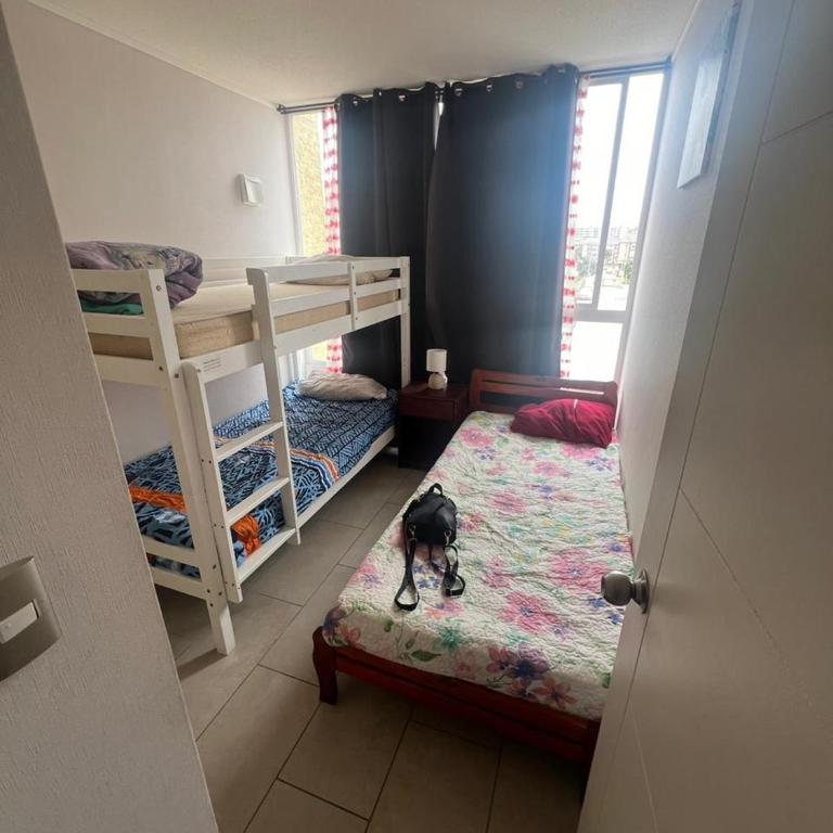 Excelente depto en arriendo - Apartamento de 3 dormitorios - 4