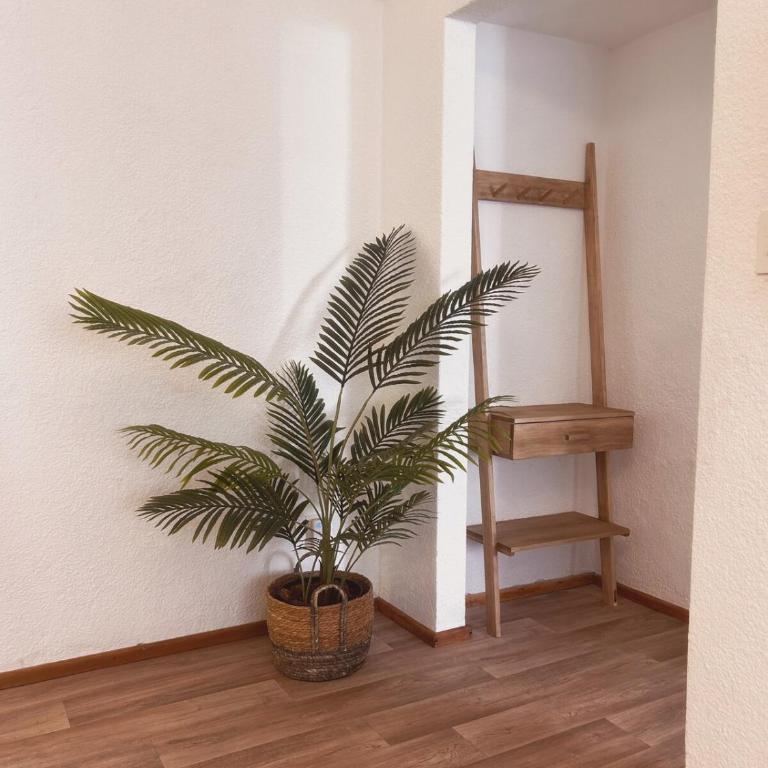 Departamento frente al mar - One-Bedroom Apartment - 4