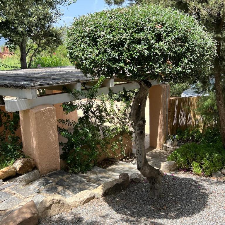 Villa Margiu - Casa Vacanze - 48