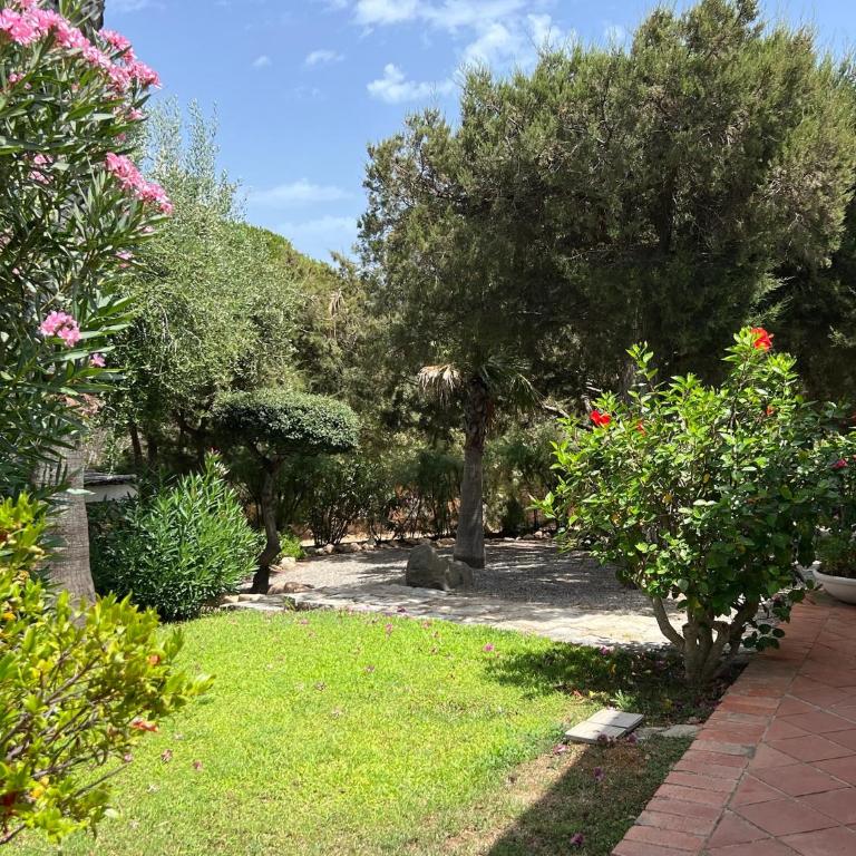 Villa Margiu - Casa Vacanze - 43