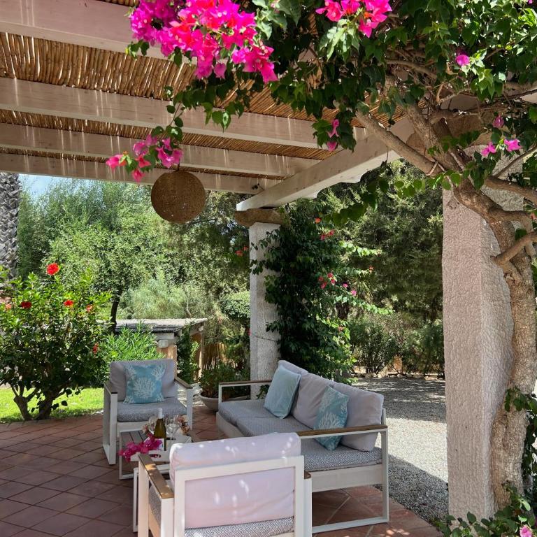 Villa Margiu - Casa Vacanze - 2