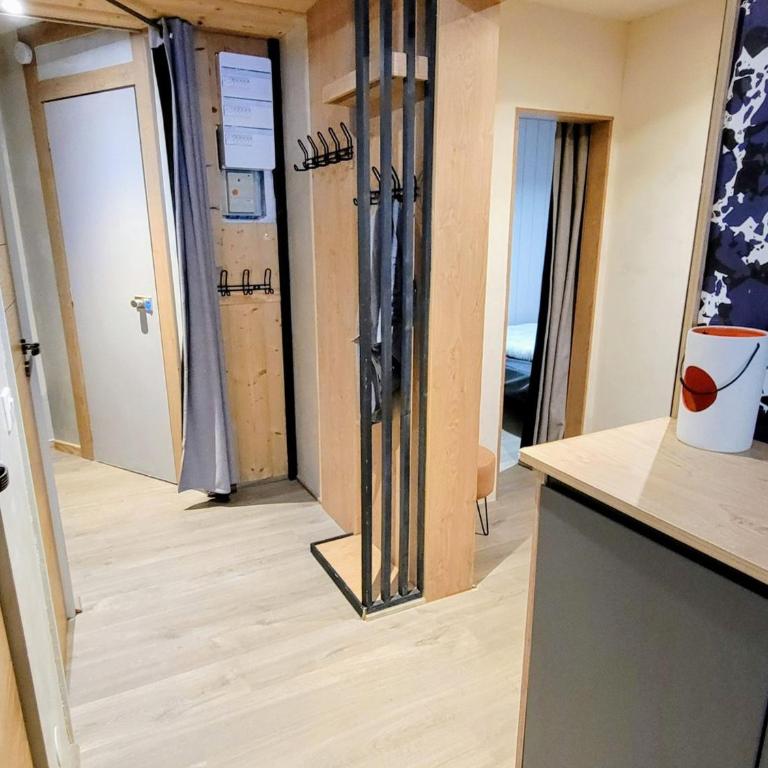 Appartement rénové, ski aux pieds, balcons, 3 pièces pour 8 pers. - Appartement 2 Chambres - 5
