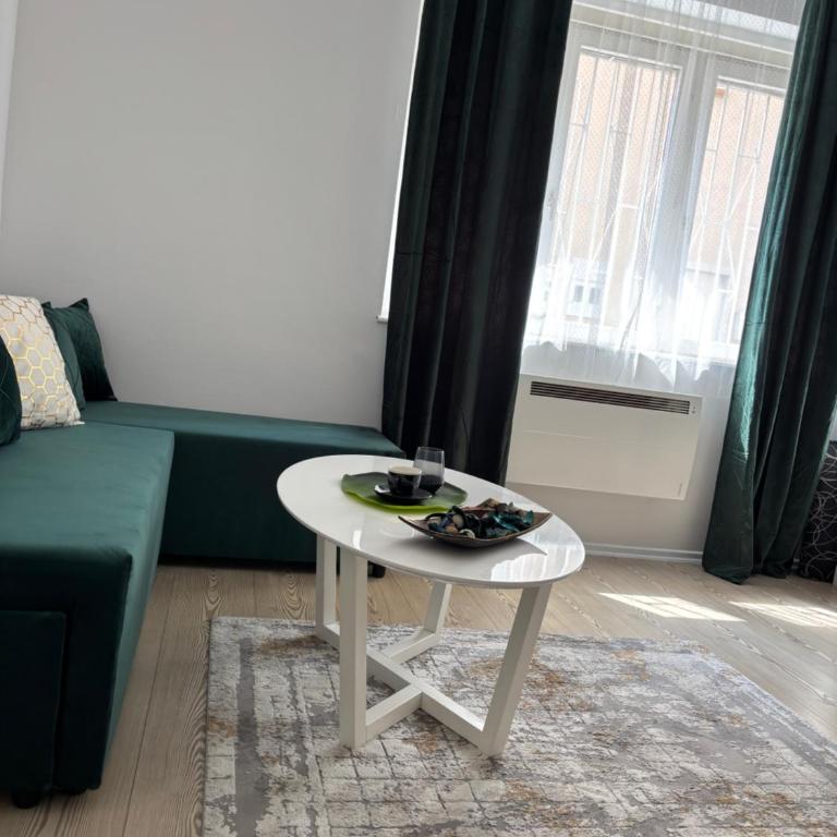 Sarajevo Festival Apartment - Apartman sa 1 Spavaćom Sobom - 15