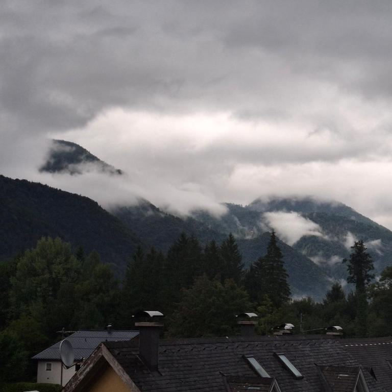 Alpine Studio near Bad Ischl - Apartment mit 1 Schlafzimmer - 16
