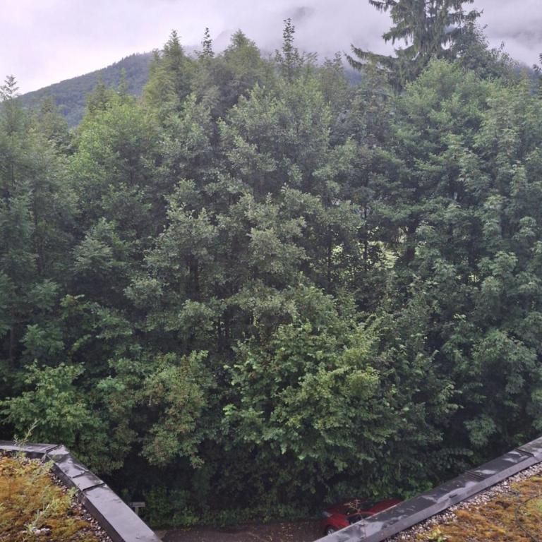 Alpine Studio near Bad Ischl - Apartment mit 1 Schlafzimmer - 17