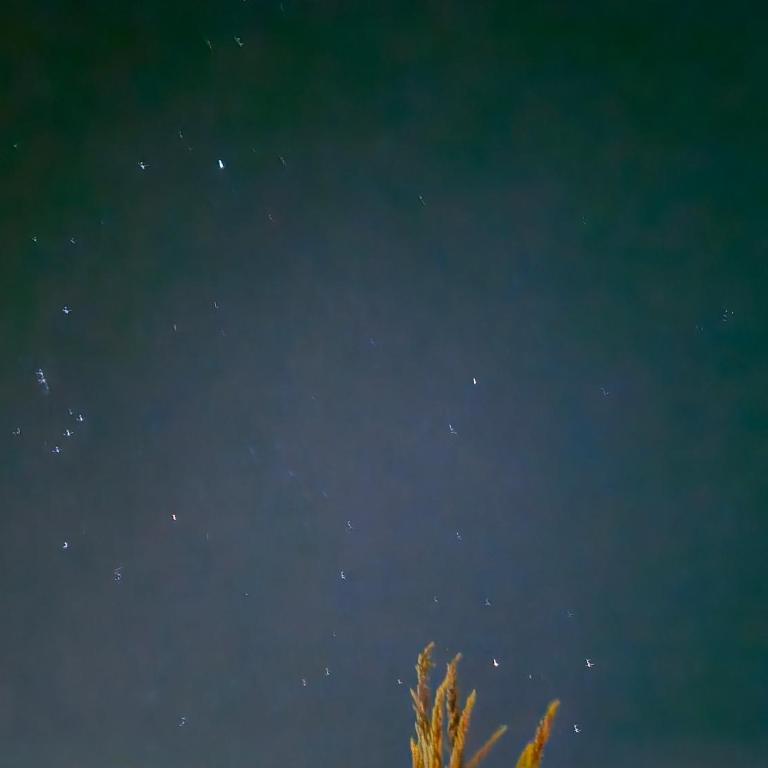 Casa Pacari - Casa de 2 dormitorios - 12