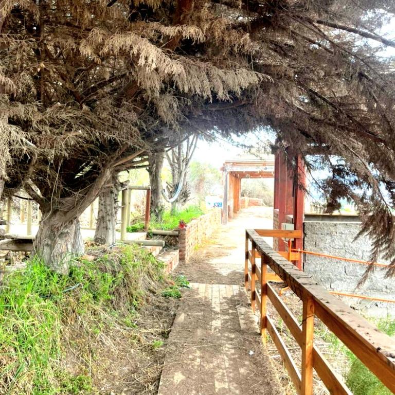 Casa Pacari - Casa de 2 dormitorios - 33