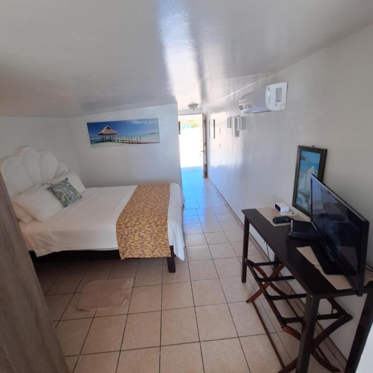 #7 Beach Front Private Room - Estudio con vistas al mar - 6