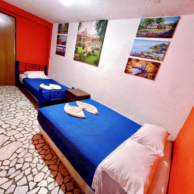 Casita del Árbol - Triple Room - 2