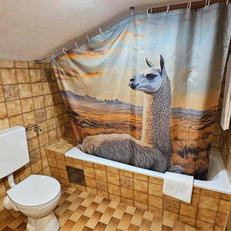 Pfleger Ranch am Schönegg Gut - Appartement - 7