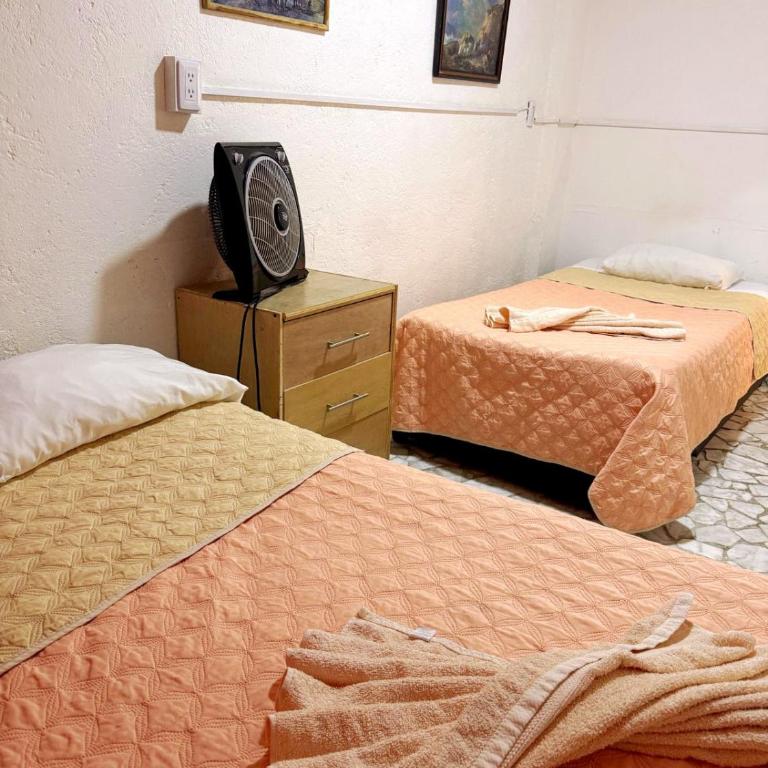 Casita del Árbol - Triple Room - 7