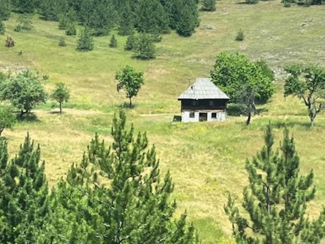 Apartman Limun Zut - Apartman sa 1 Spavaćom Sobom - 21