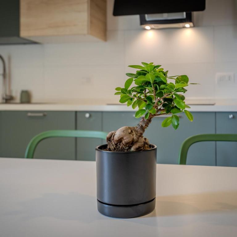 Milano Social House - Vivi la Città con Stile - Appartamento con 2 Camere da Letto - 37