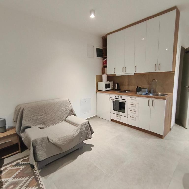 Apartmani Vila Radan 2 - Apartman sa 1 Spavaćom Sobom - 5