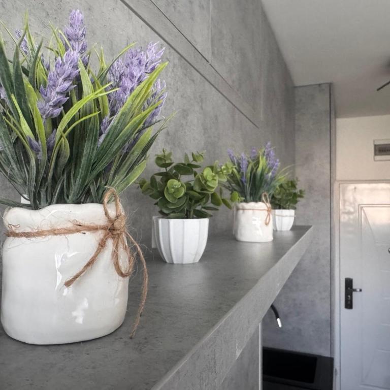 Amber Lux Studio - Airport - FREE PARKING - One-Bedroom Apartment - 14