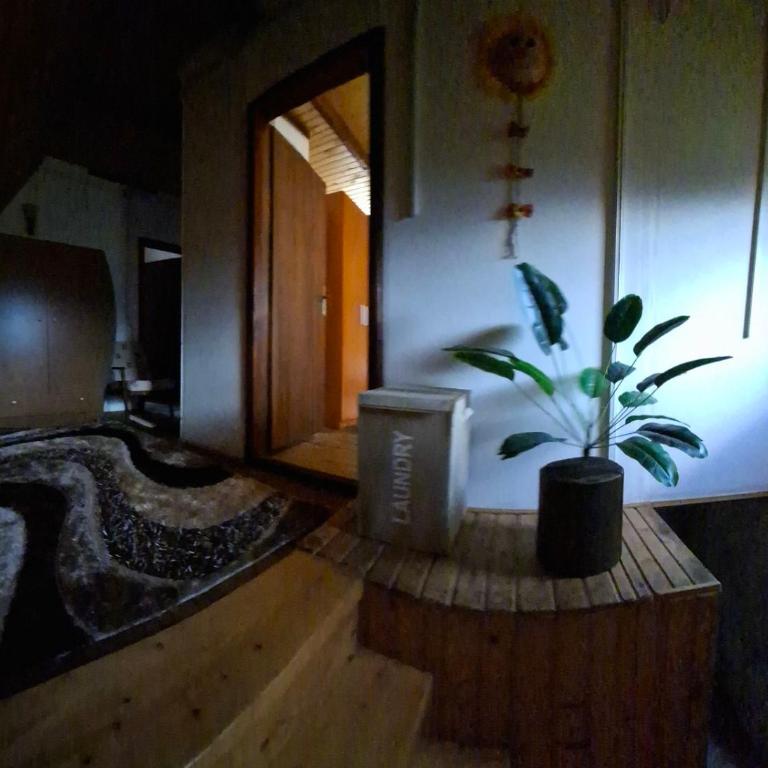 Žabljak izdavanje kuce - Three-Bedroom House - 12