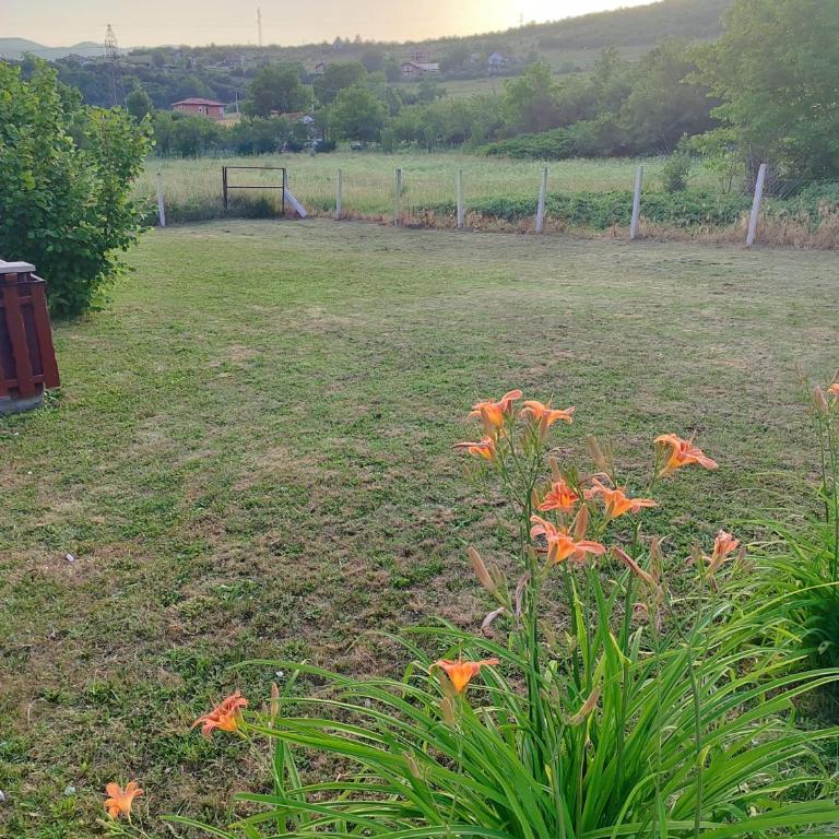 Country House Bijela Voda - Vacation Home - 34