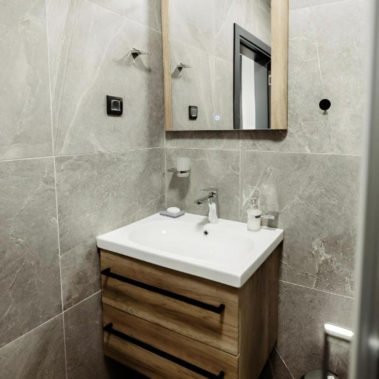 Boggi Apartman, Kopaonik - Apartman sa 1 Spavaćom Sobom - 14