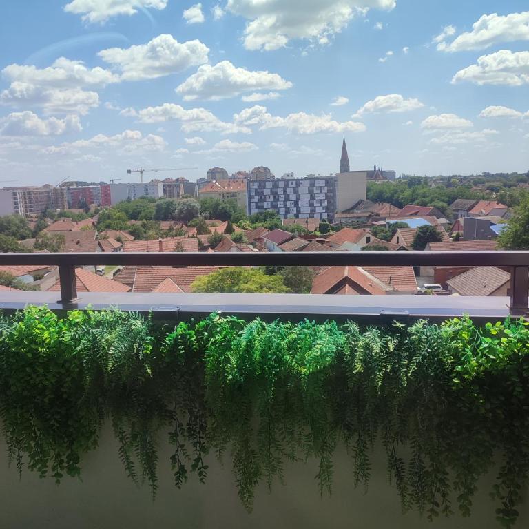 Lux Apartman JELAČIK - One-Bedroom Apartment - 51