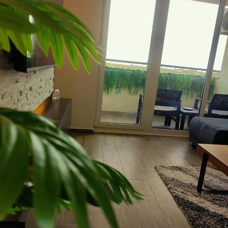 Lux Apartman JELAČIK - One-Bedroom Apartment - 38