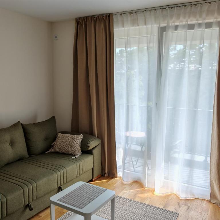 Apartman Maxim Divčibare - Apartman sa 1 Spavaćom Sobom - 12