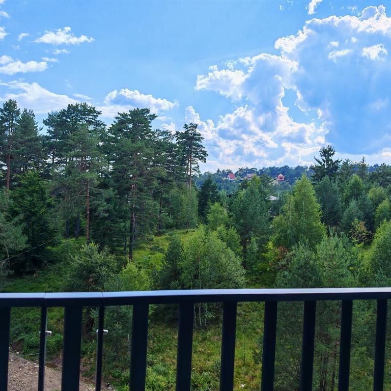 Apartman Maxim Divčibare - Apartman sa 1 Spavaćom Sobom - 7