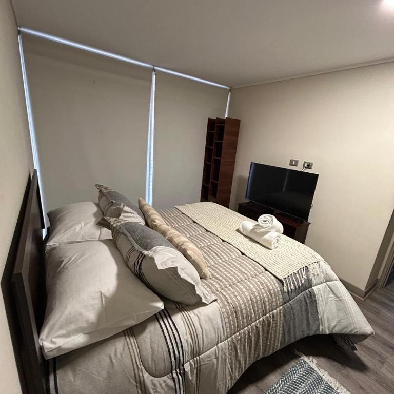 Gran departamento Santiago Centro - Two-Bedroom Apartment - 16