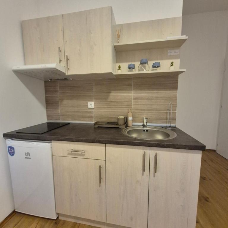 Oaza studio 1 - Apartman sa 1 Spavaćom Sobom - 4