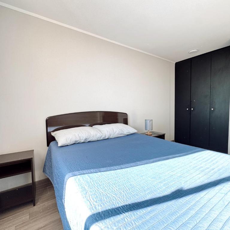 Amplio apartamento Santiago de Chile, Lavandería, Tv, Wifi, Balcón - Apartamento de 1 dormitorio - 9