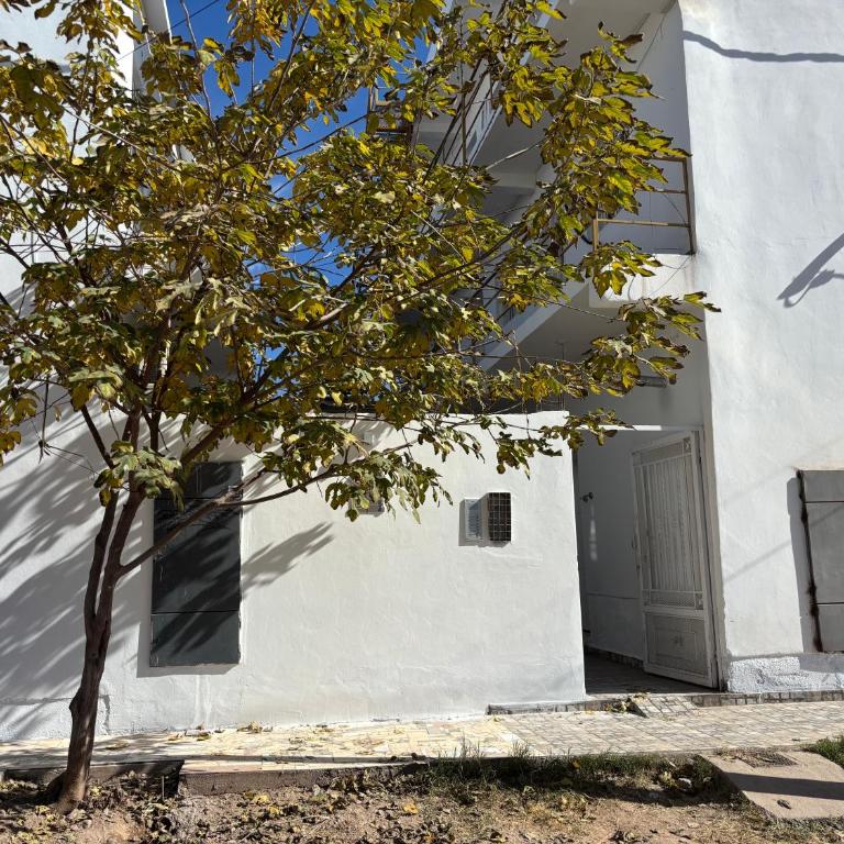 Chaya - Apartamento de 1 dormitorio - 3