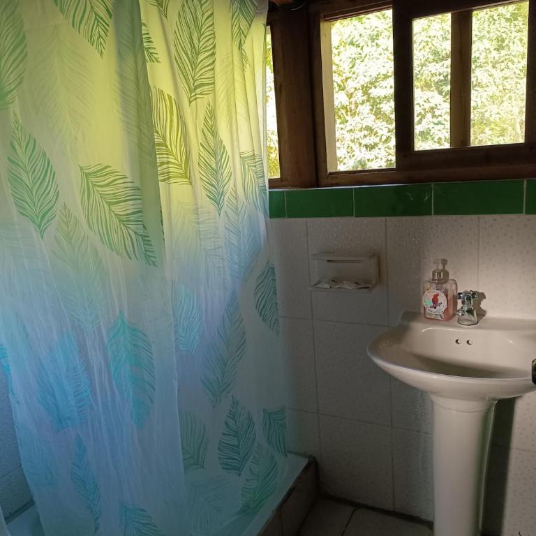 Mindo Wood Cabin - Four-Bedroom House - 7