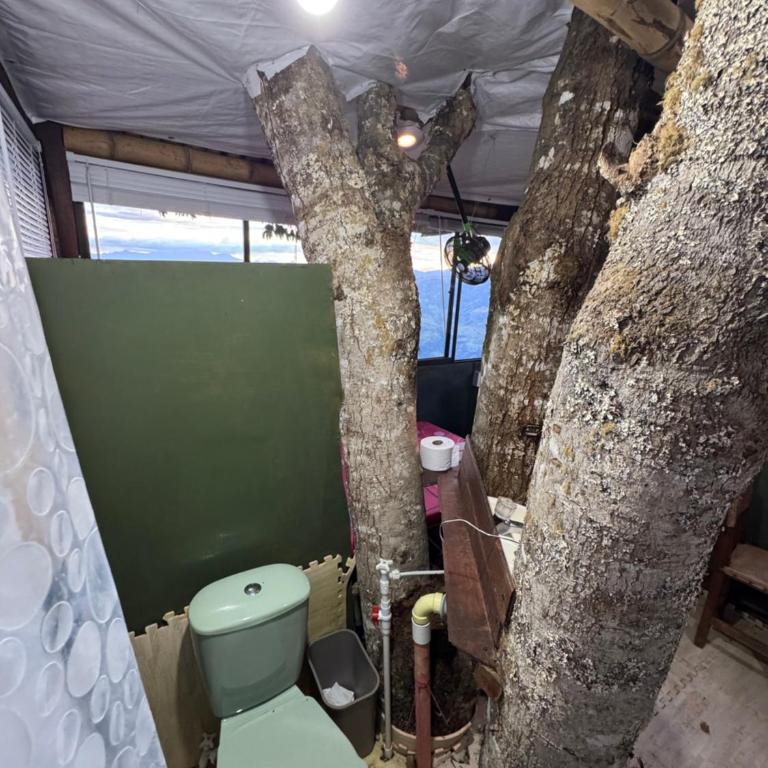 Casa en el árbol en Titiribi - Tienda - 57