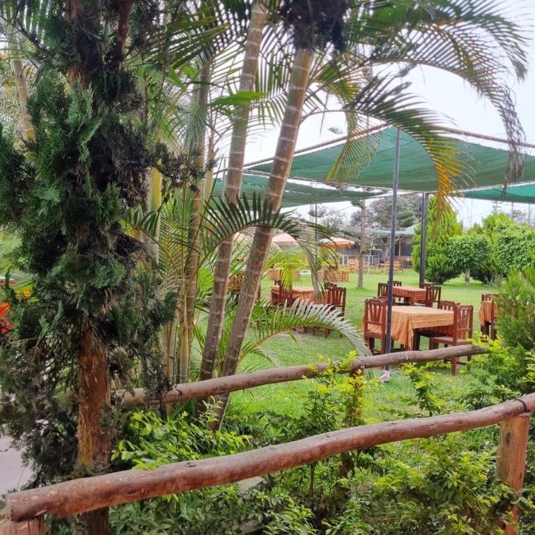 URMA 2 - Double Room with Garden View - 2
