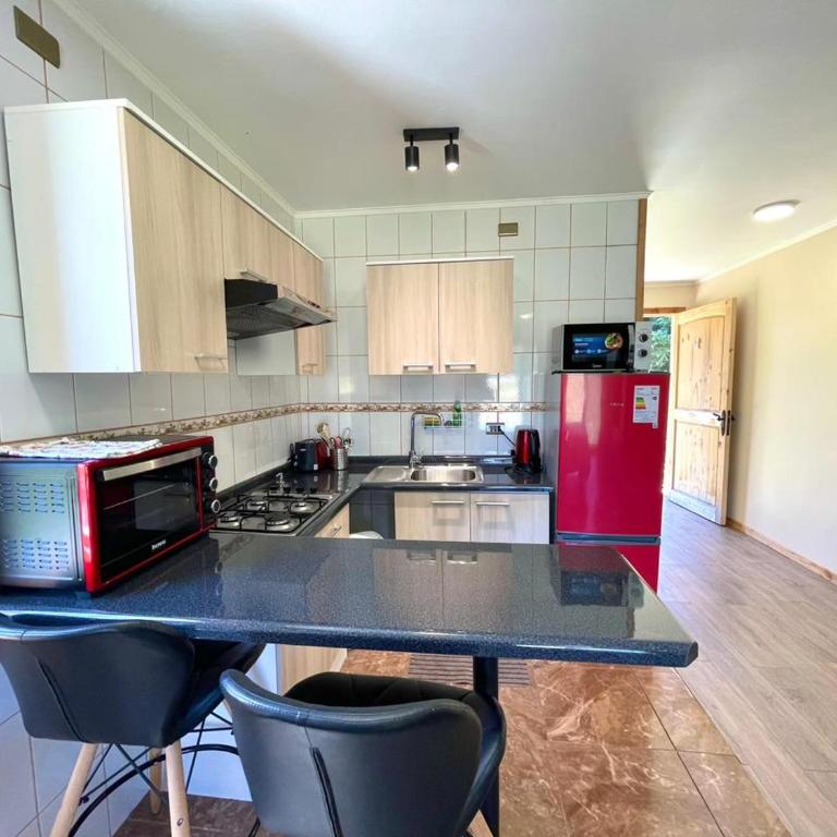 ApartHotel Cuatro Estaciones Frutillar Bajo - One-Bedroom Apartment - 16