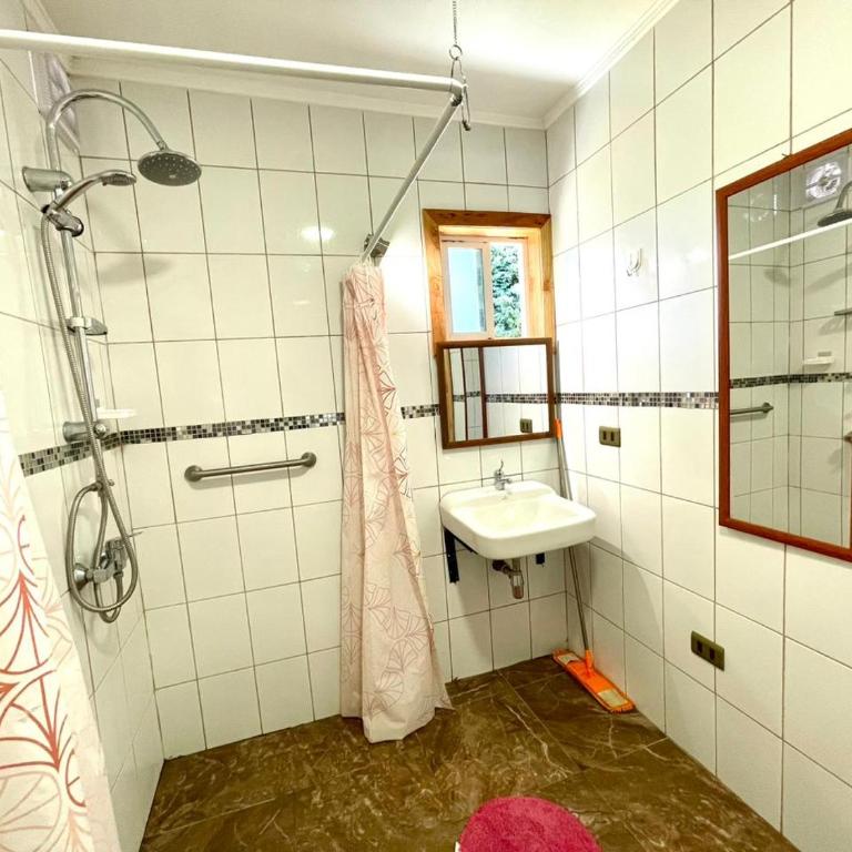 ApartHotel Cuatro Estaciones Frutillar Bajo - One-Bedroom Apartment - 17