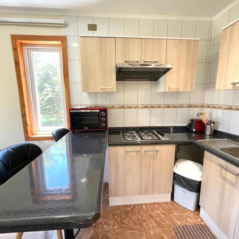ApartHotel Cuatro Estaciones Frutillar Bajo - One-Bedroom Apartment - 14