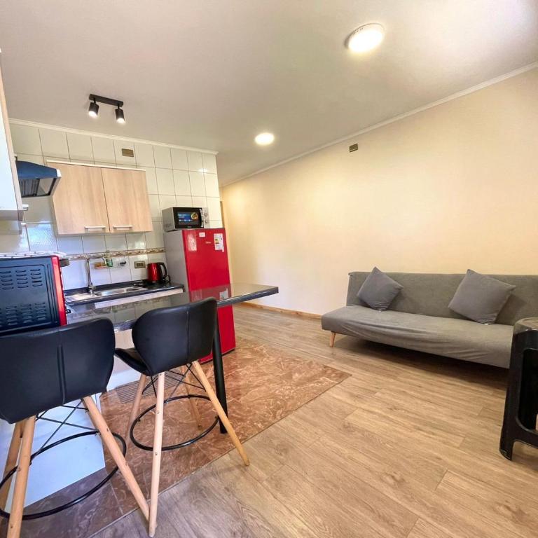 ApartHotel Cuatro Estaciones Frutillar Bajo - One-Bedroom Apartment - 4