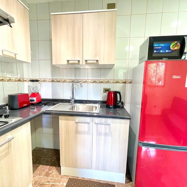 ApartHotel Cuatro Estaciones Frutillar Bajo - One-Bedroom Apartment - 8