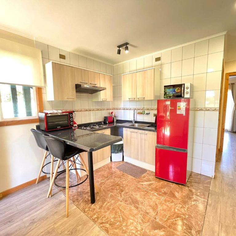 ApartHotel Cuatro Estaciones Frutillar Bajo - One-Bedroom Apartment - 2