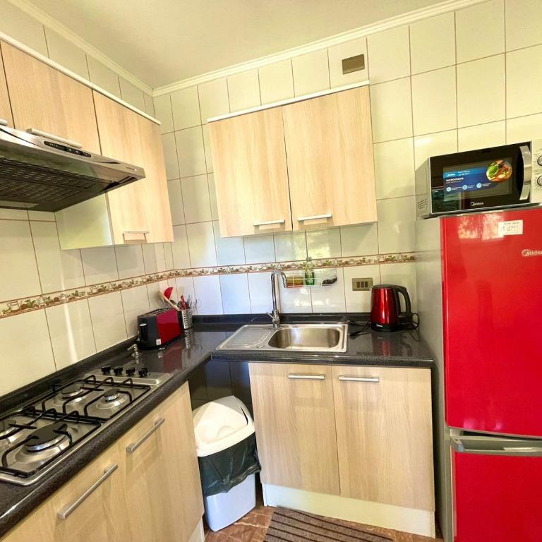ApartHotel Cuatro Estaciones Frutillar Bajo - One-Bedroom Apartment - 7