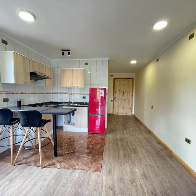 ApartHotel Cuatro Estaciones Frutillar Bajo - One-Bedroom Apartment - 20