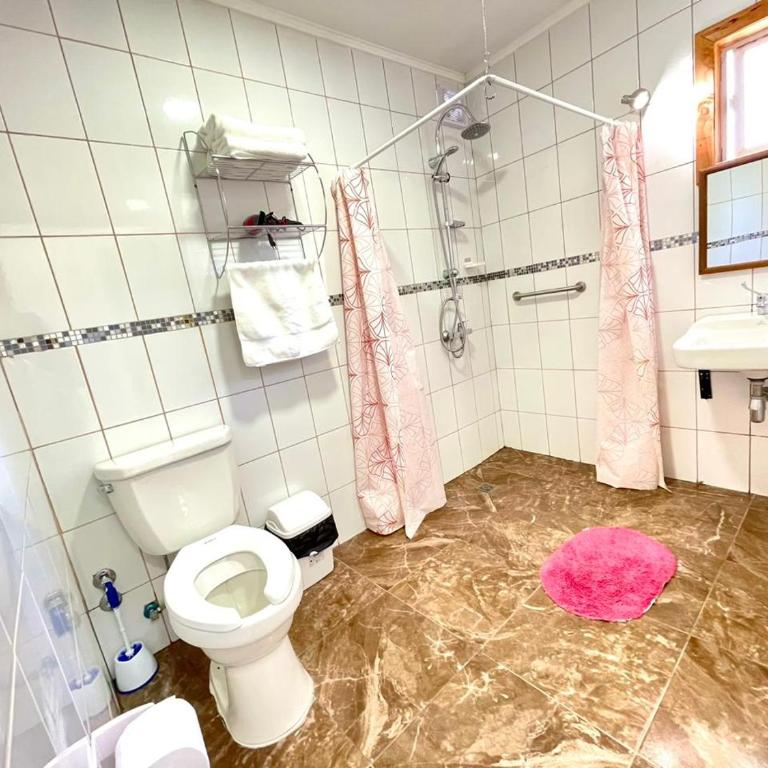 ApartHotel Cuatro Estaciones Frutillar Bajo - One-Bedroom Apartment - 22