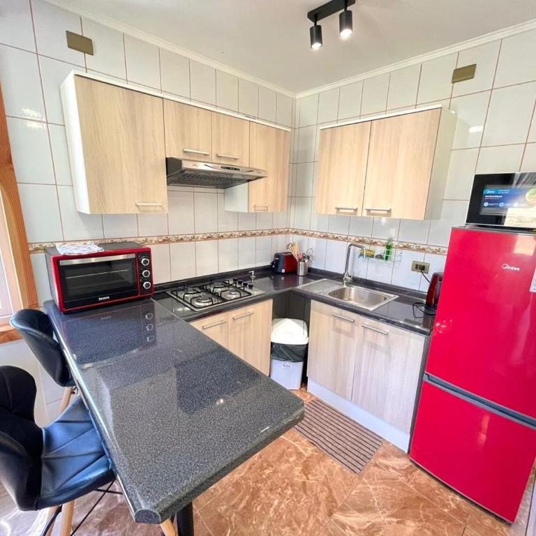 ApartHotel Cuatro Estaciones Frutillar Bajo - One-Bedroom Apartment - 21