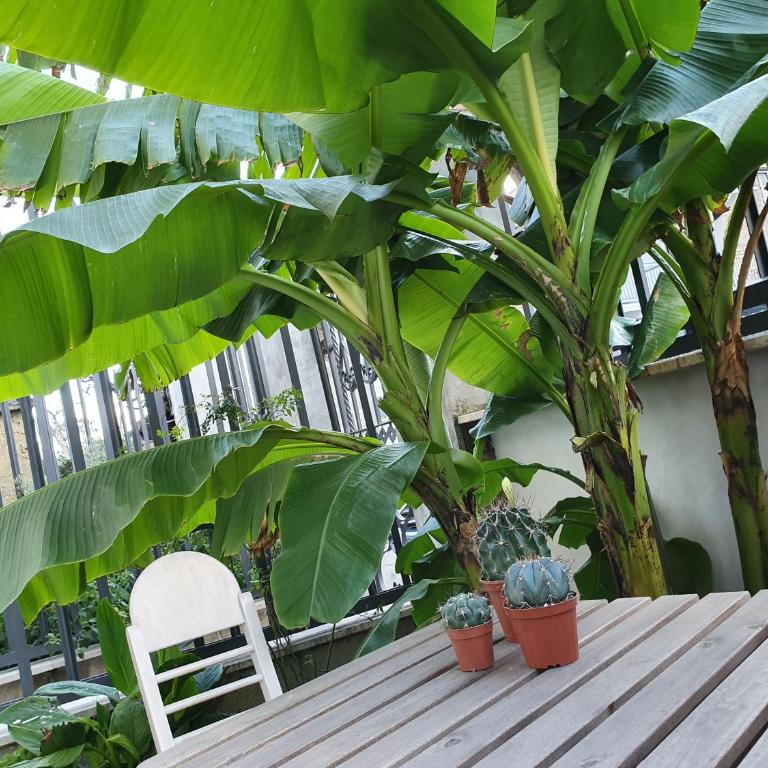 Hortus - Monolocale King con Divano-Letto - 8