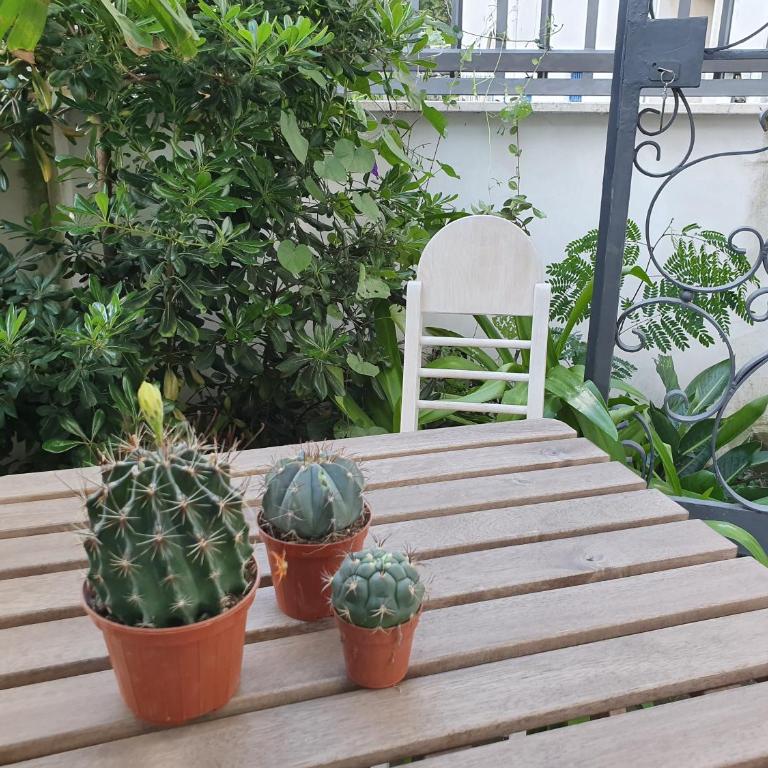 Hortus - Monolocale King con Divano-Letto - 15