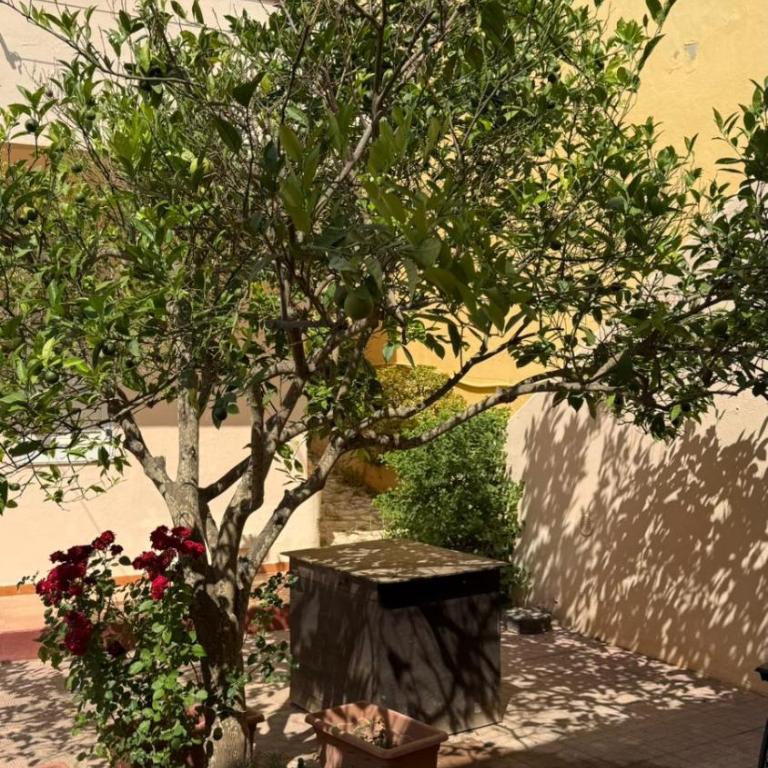 Nel Blu Dipinto di Blu - Appartamento Standard con 2 Camere da Letto - 16