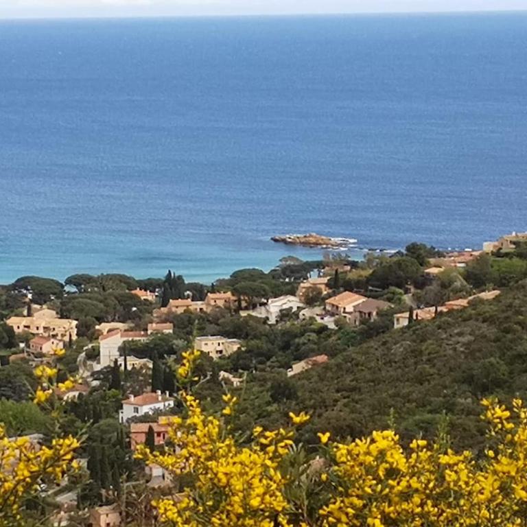 Les Balcons de Saint Clair, - Maison 2 Chambres - 13