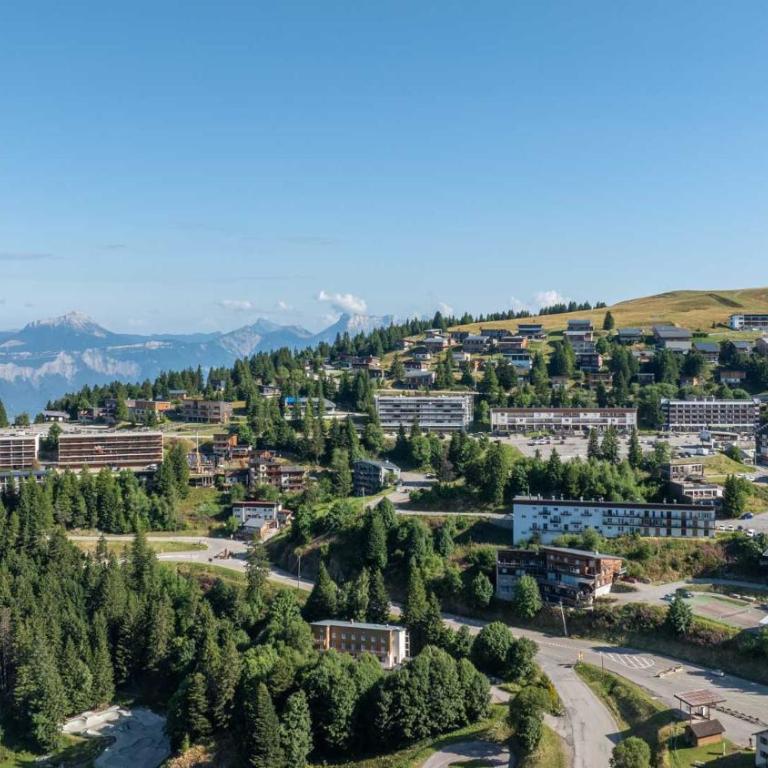 Les Cytises N304 - 2P6 - Appartement - 3