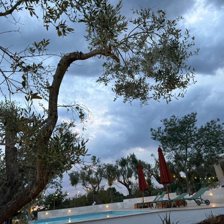 Trullo Qui si Sana - Villa Deluxe - 44